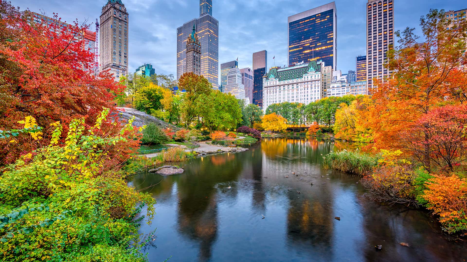 Why Fall Is The Best Time To Schedule Your NYC Tour